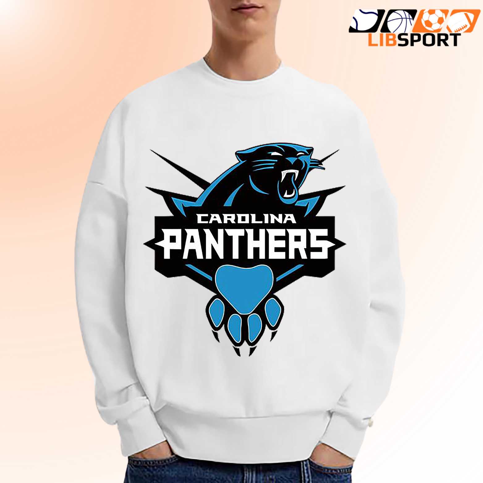 Carolina Panthers Tee, Unisex Shirt, Nfl Game Day T Shirt